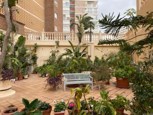 Precioso Apartamento A Estrenar En Primera Linea De Playa Benidorm Eksteriør billede